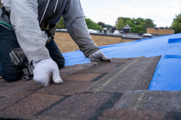 Trusted Fairlea, WV Roofing Contractor Experts