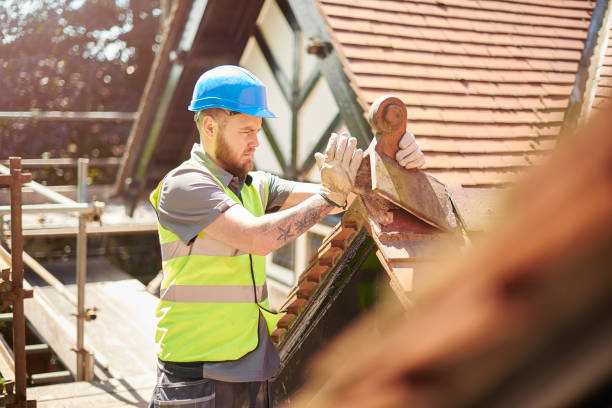 Best Gutter Installation and Roofing  in Fairlea, WV
