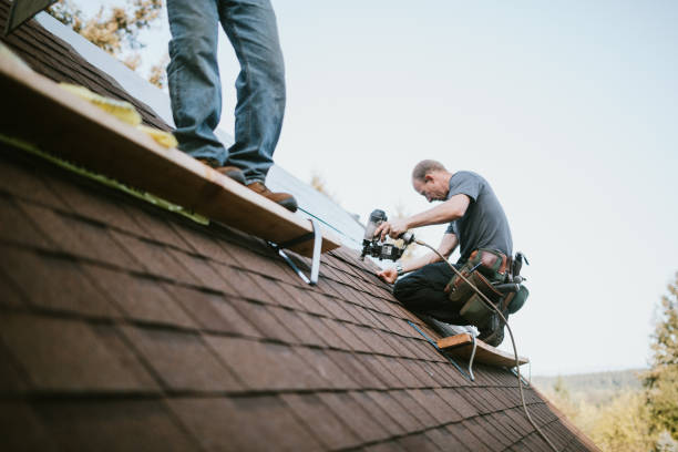 Best Roof Gutter Cleaning  in Fairlea, WV